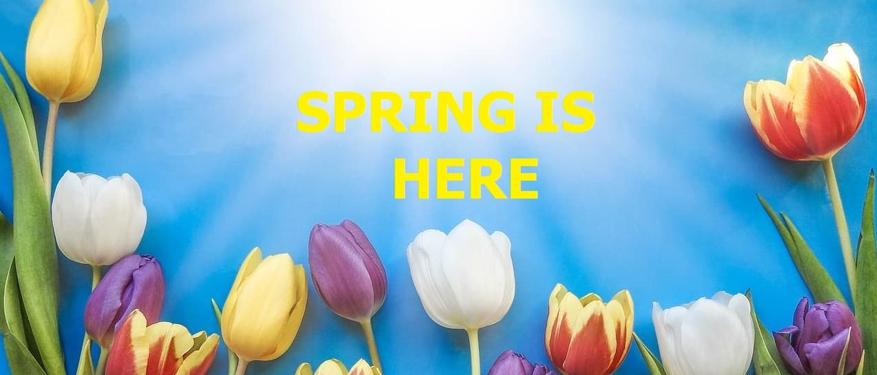 It's That Time of Year Again